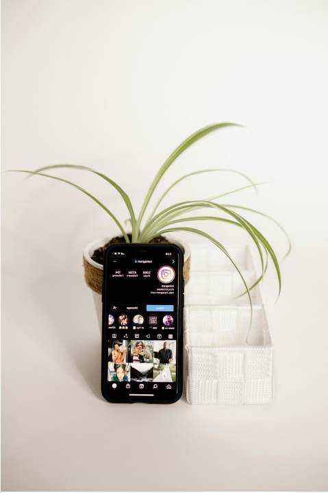 Cafe Instagram growth